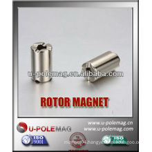 Neodymium Rotor Magnets Customerized